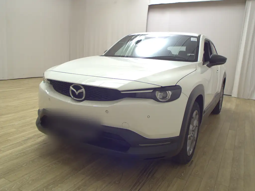 Mazda MX-30 e-Skyactiv Navi LED RFK Shz