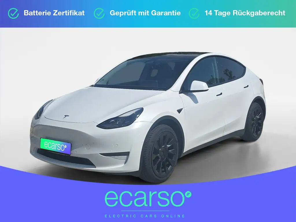 Tesla Model Y Long Range Dual AWD