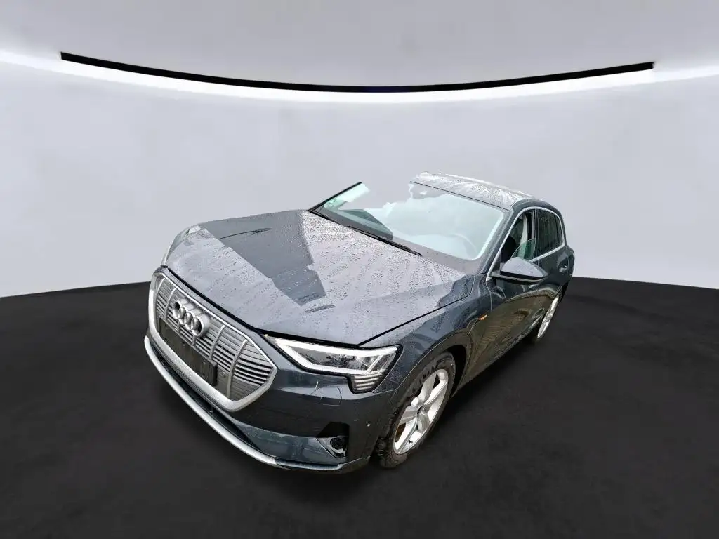 Audi e-tron 55 Q ADVANCED LED/TEMPO./KAM./AIR-SUS/DSP