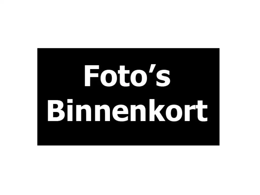 Fiat 500e Navi Leer PDC Climate C. Stoelverwarming Cruise C.