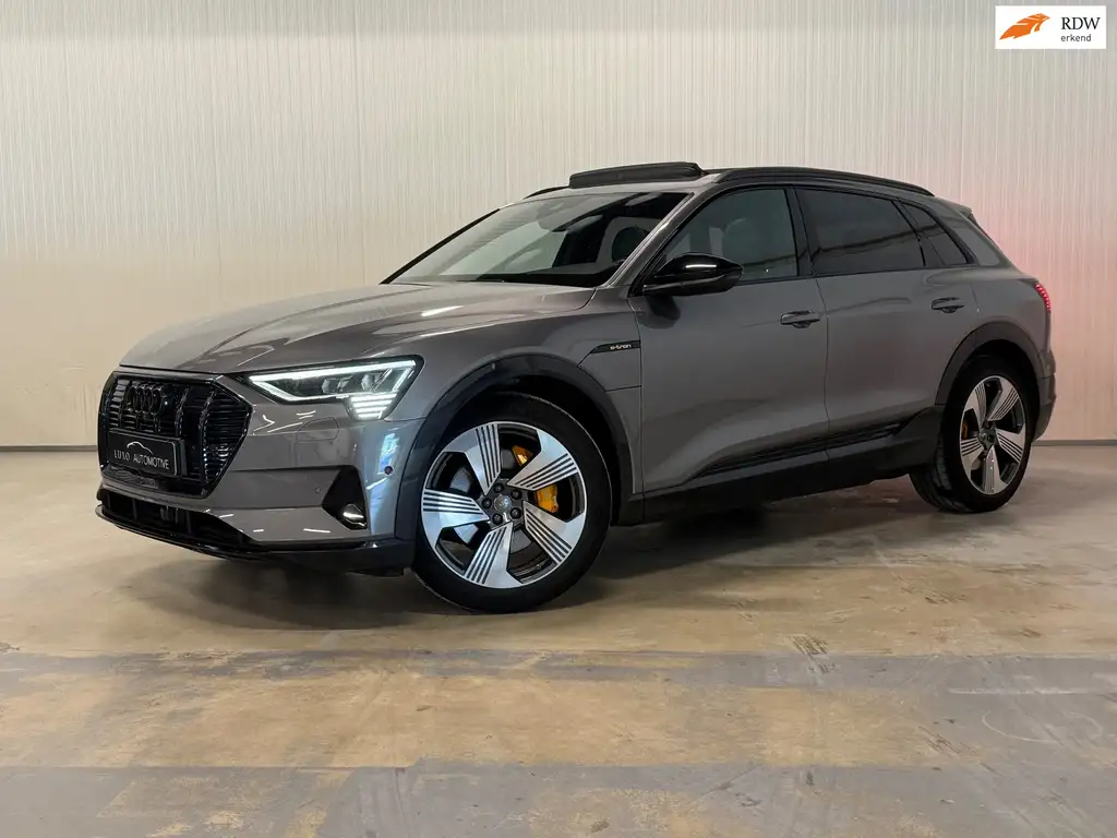 Audi e-tron 55 quattro advanced 95 kWh | PANO | S-LINE | B&O |
