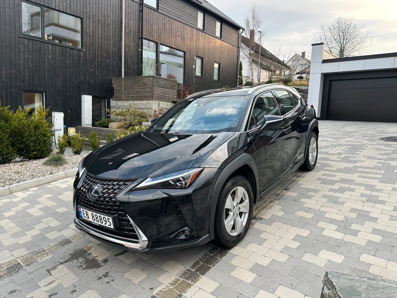 Lexus UX300e