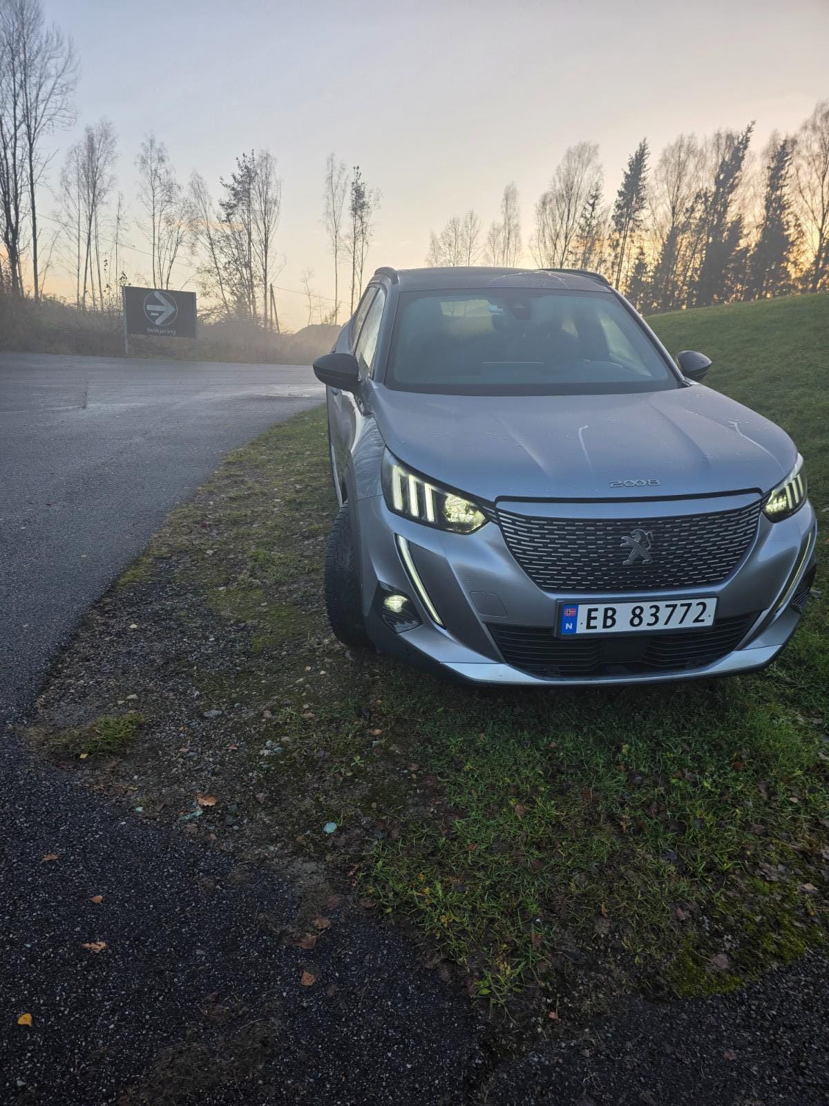 Peugeot e-2008