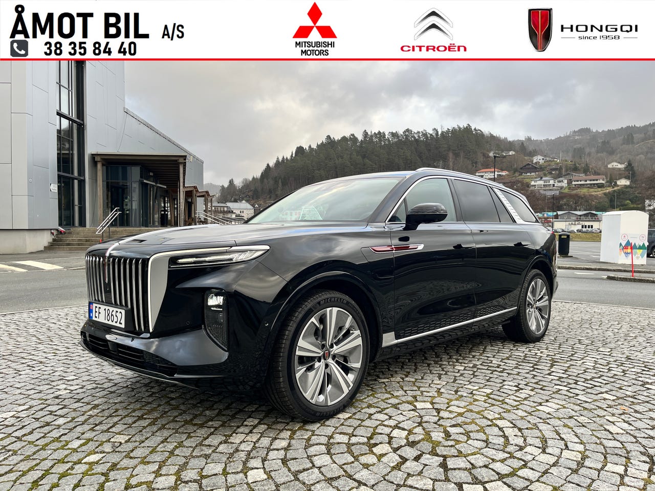 Hongqi E-HS9