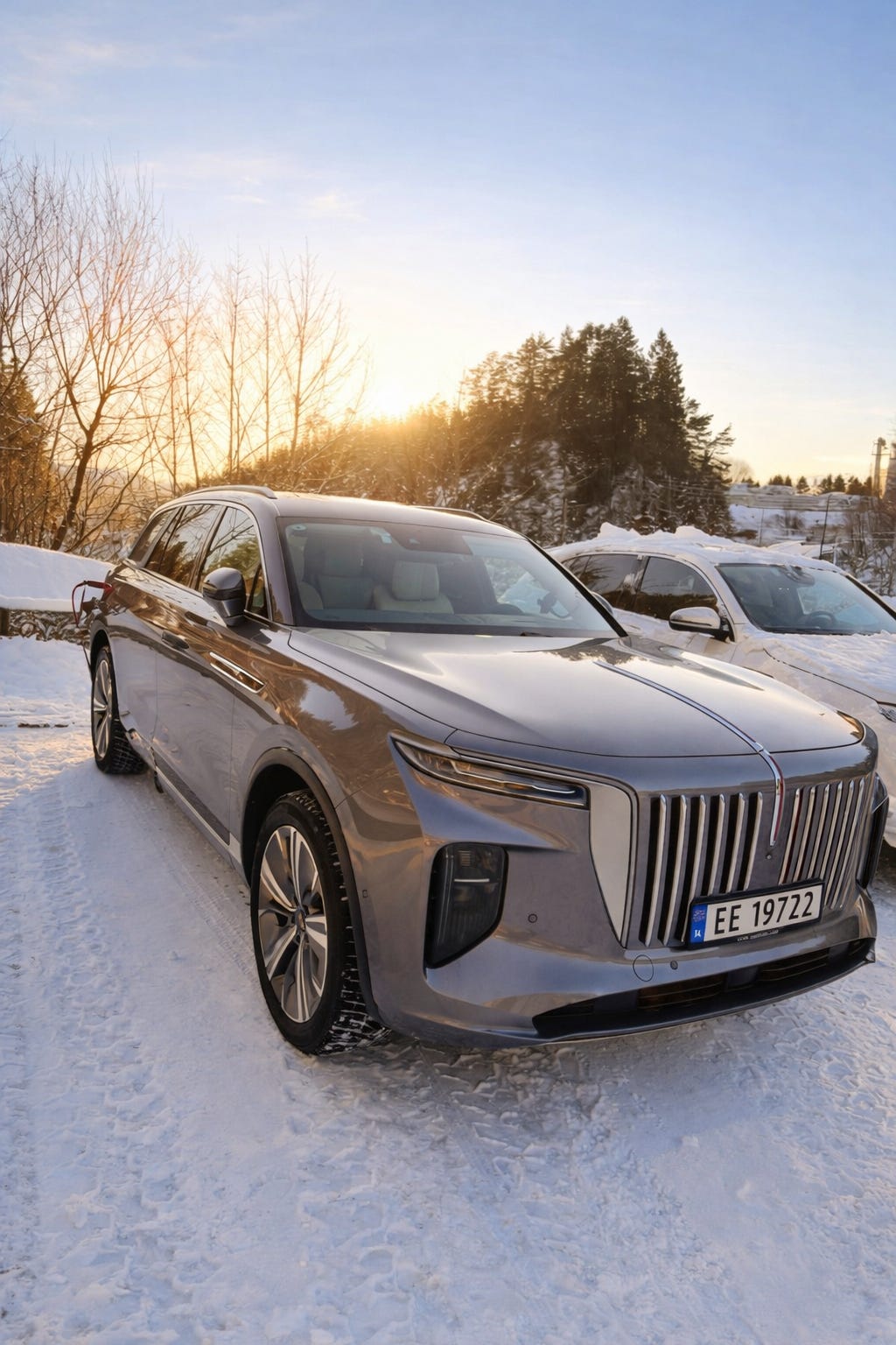 Hongqi E-HS9