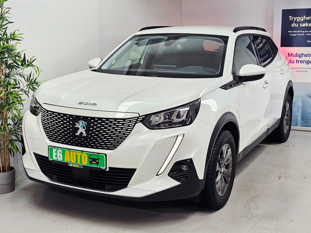 Peugeot e-2008