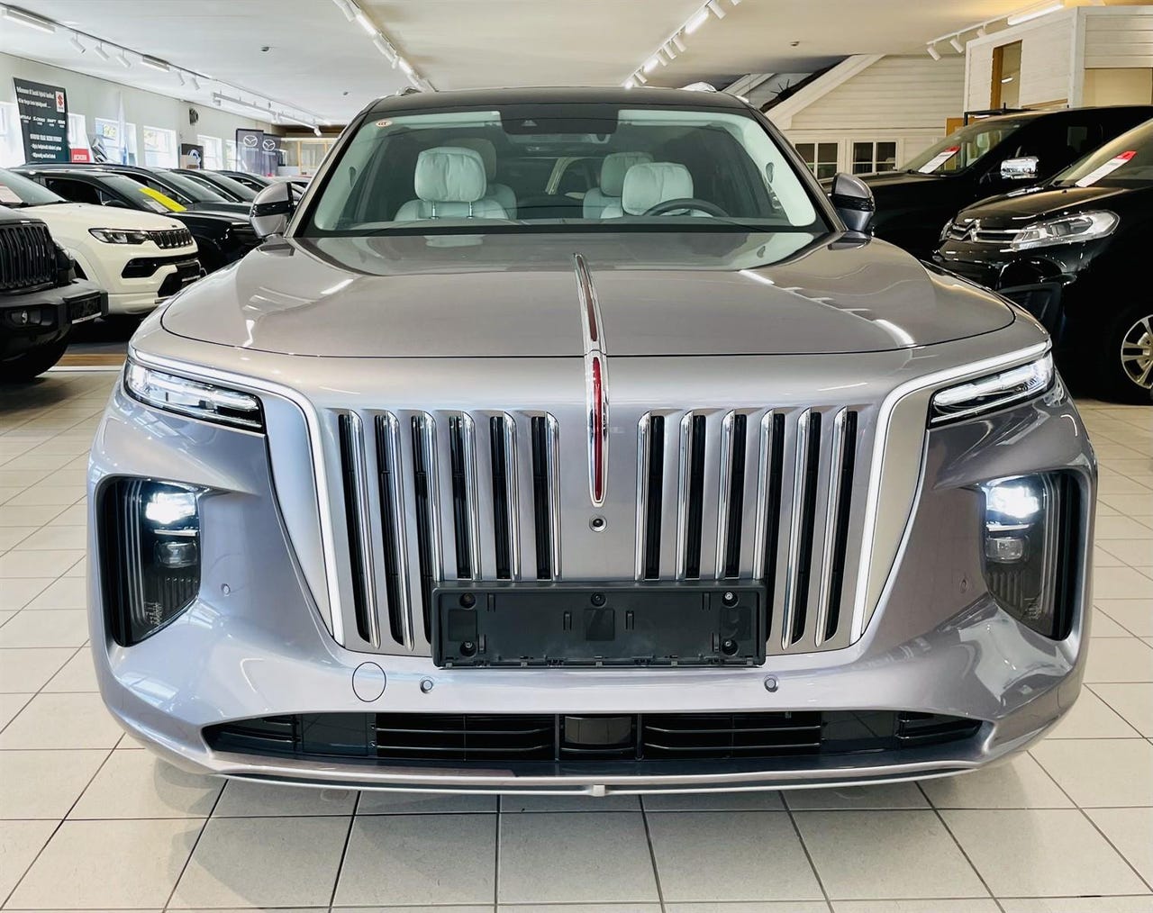 Hongqi E-HS9