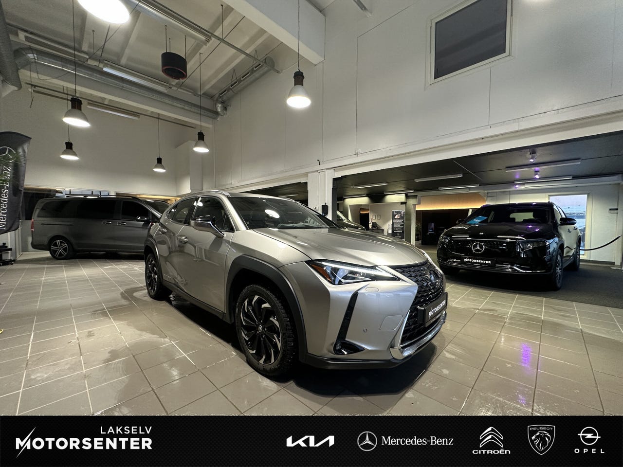 Lexus UX300e