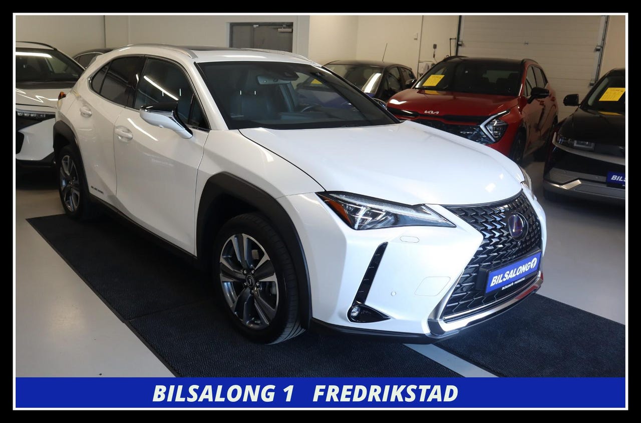 Lexus UX300e