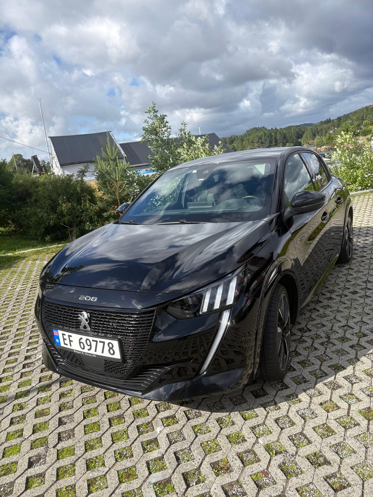 Peugeot e-208