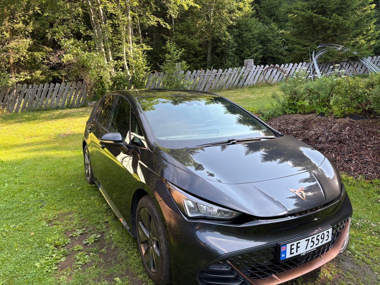 Cupra Born