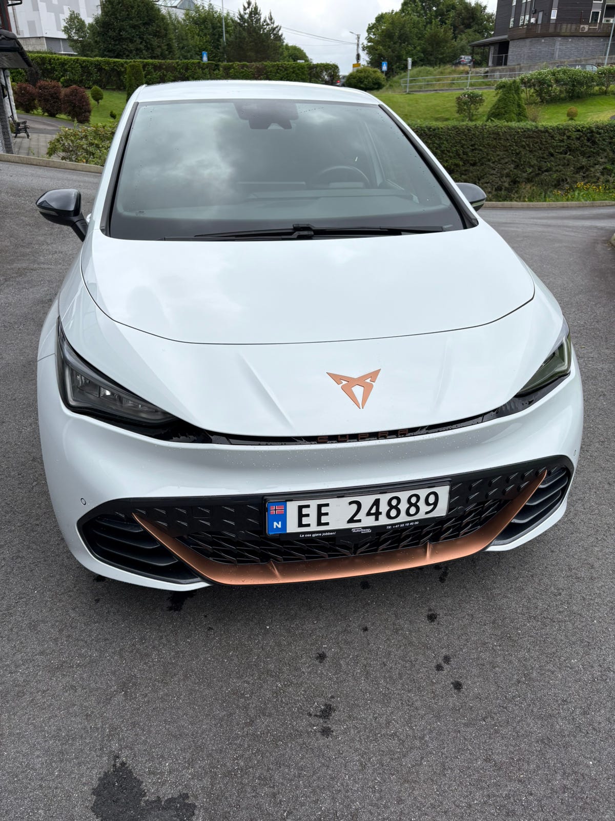 Cupra Born