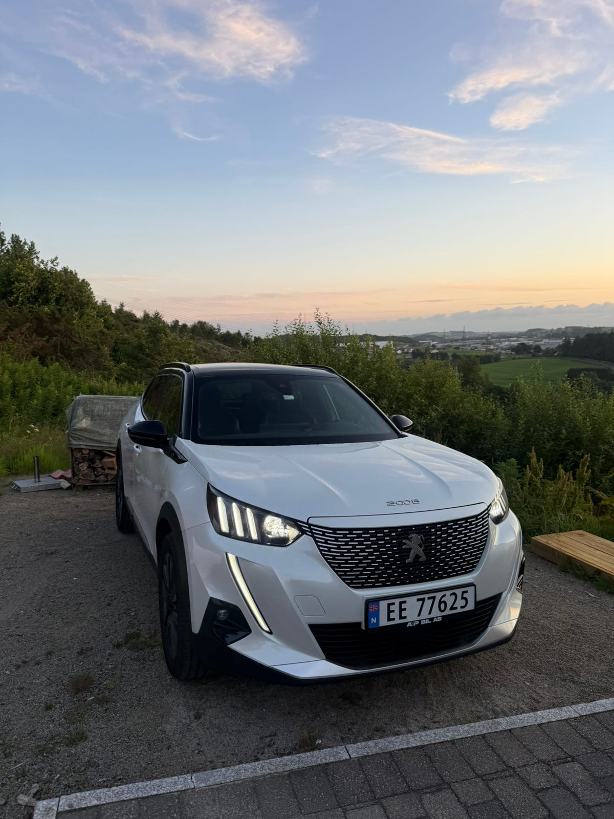 Peugeot e-2008