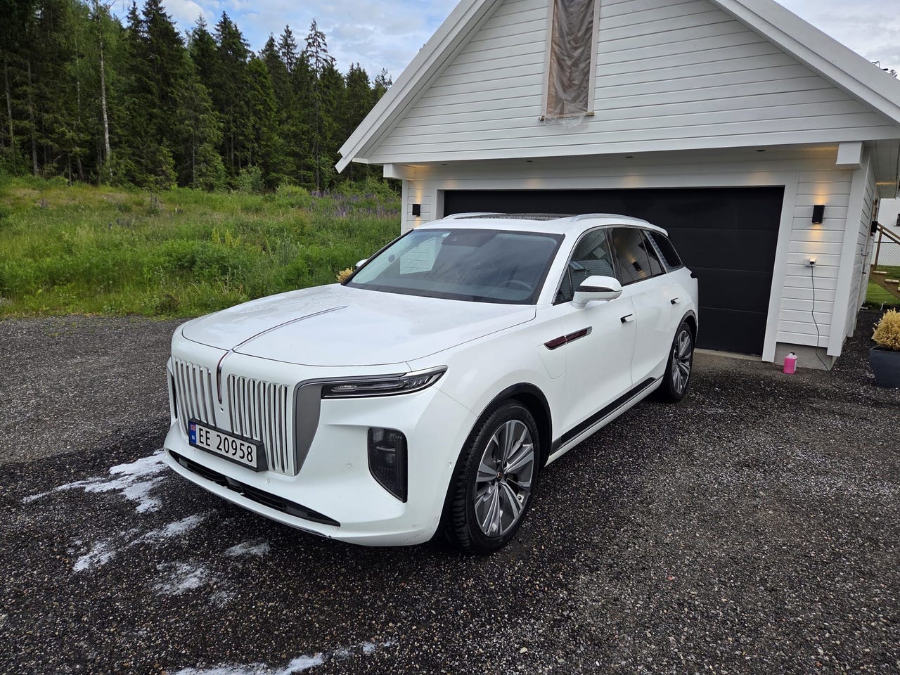 Hongqi E-HS9
