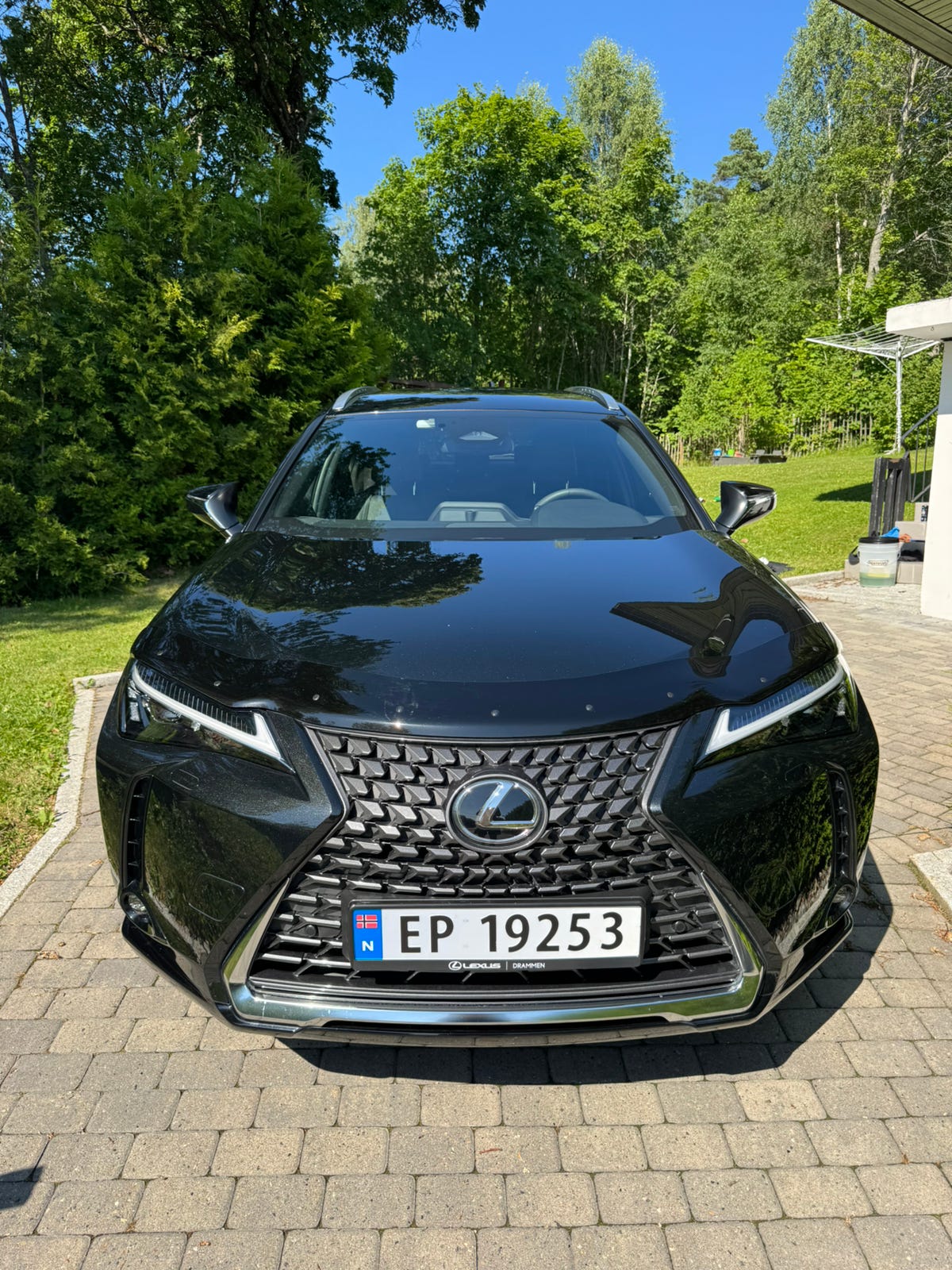 Lexus UX300e