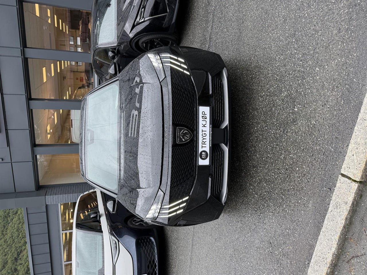 Peugeot e-3008