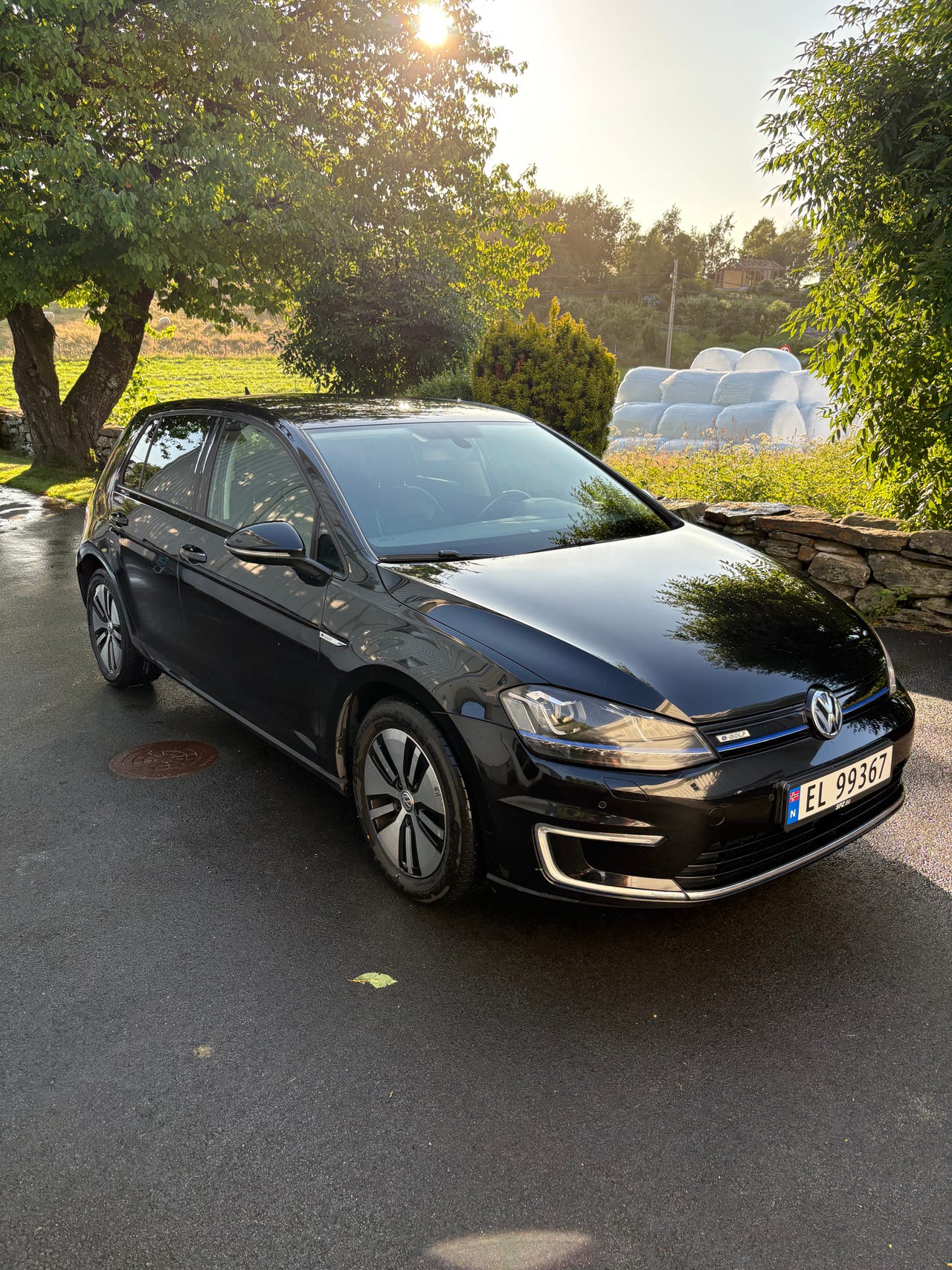 Volkswagen e-Golf VII