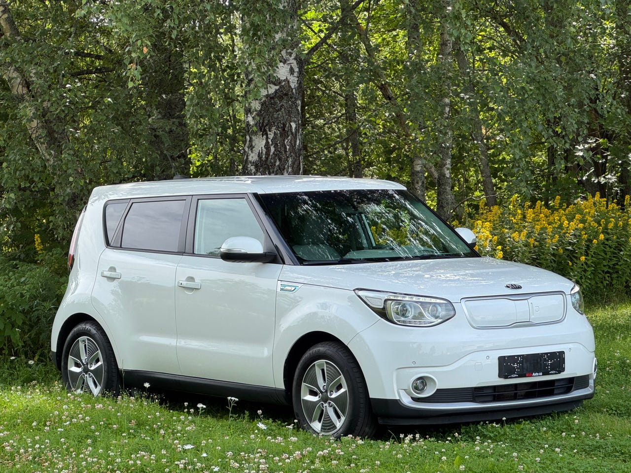 Kia e-Soul