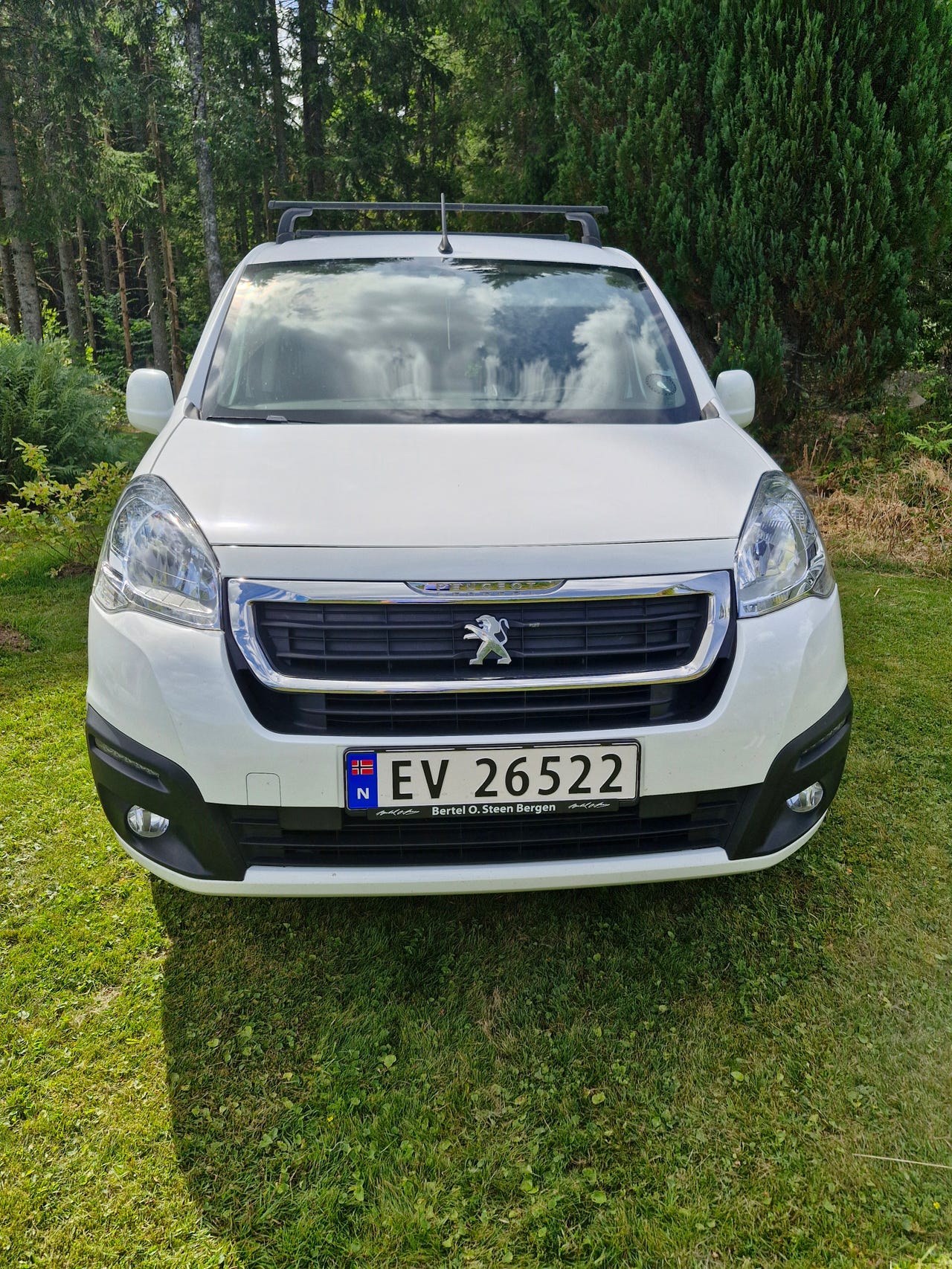 Peugeot Partner Tepee