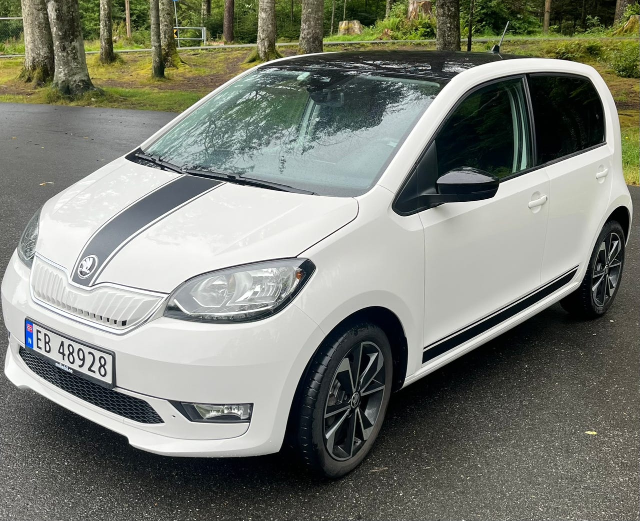 Skoda Citigo-e