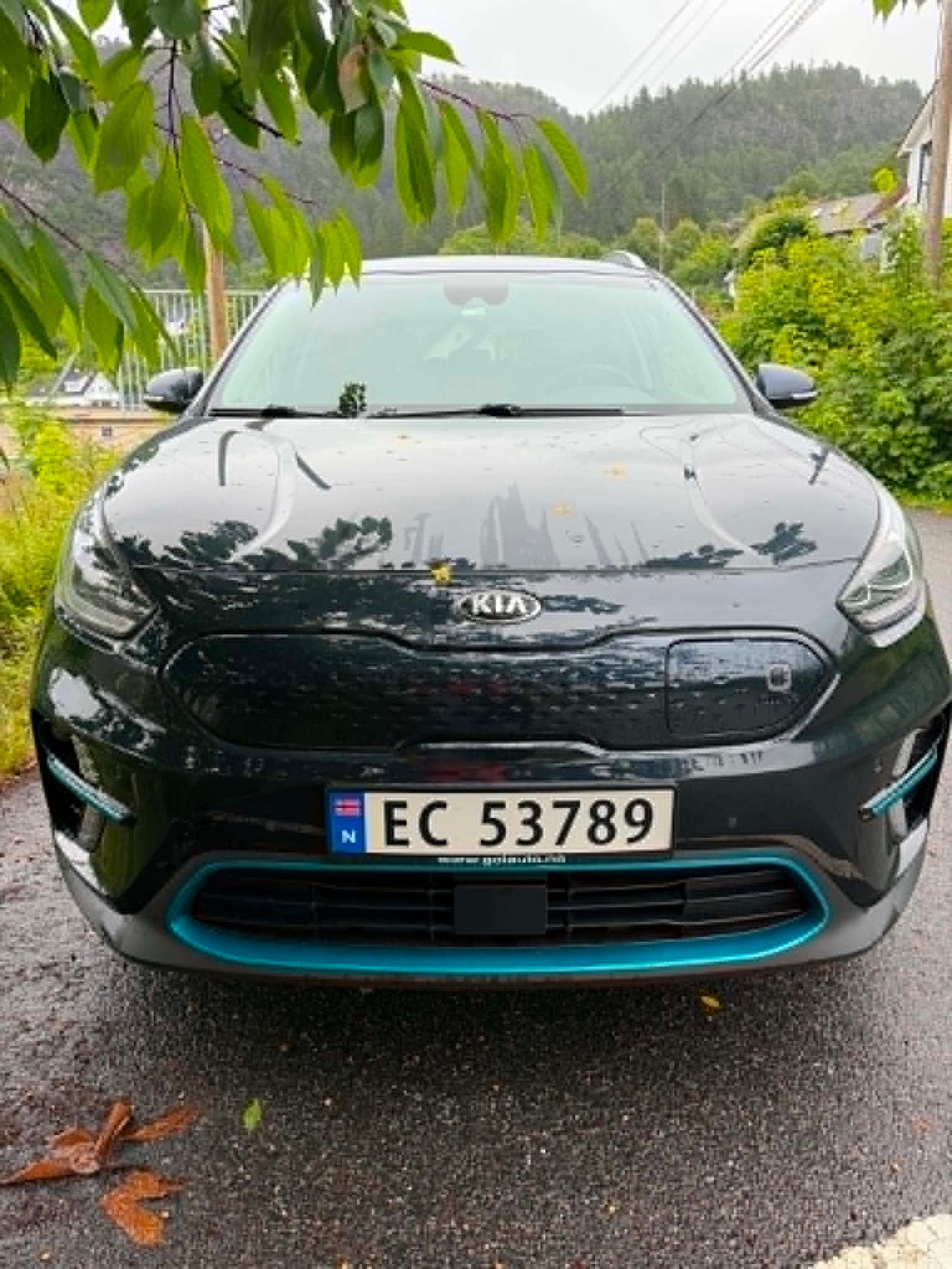 Kia e-Niro