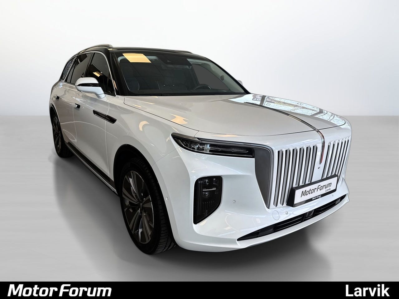 Hongqi E-HS9