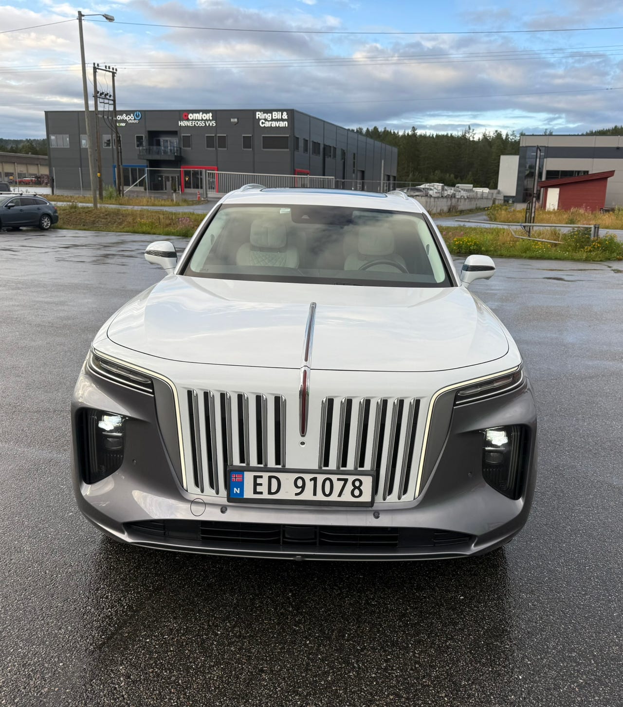 Hongqi E-HS9