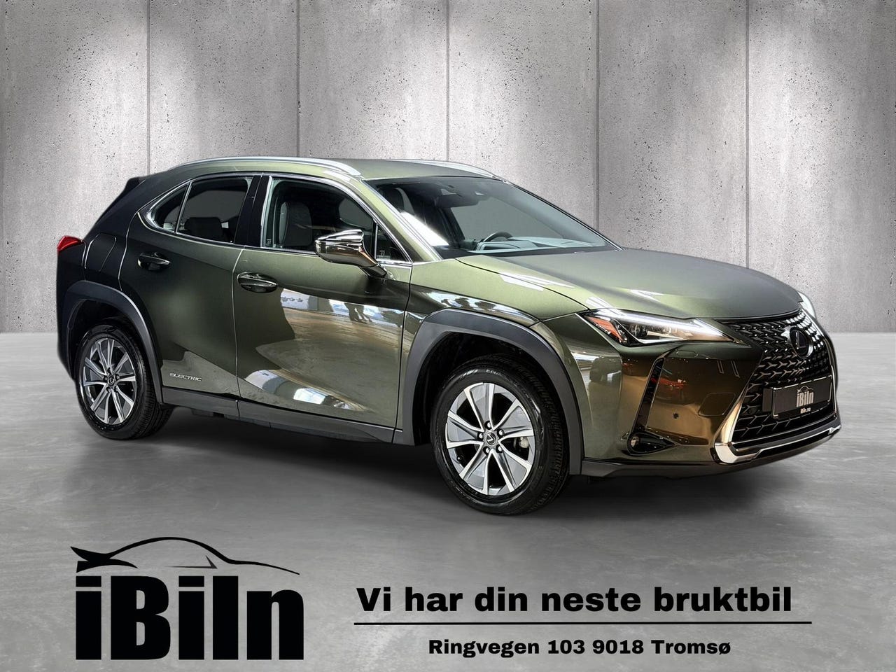 Lexus UX300e