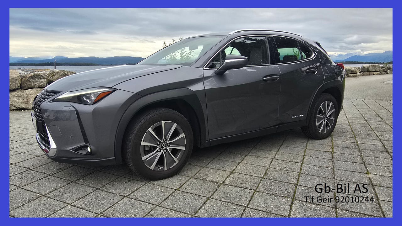 Lexus UX300e