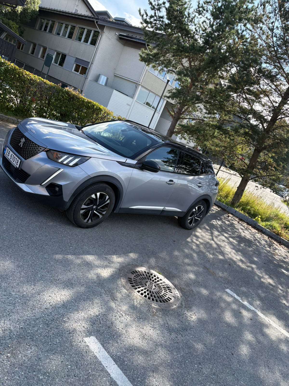 Peugeot e-2008