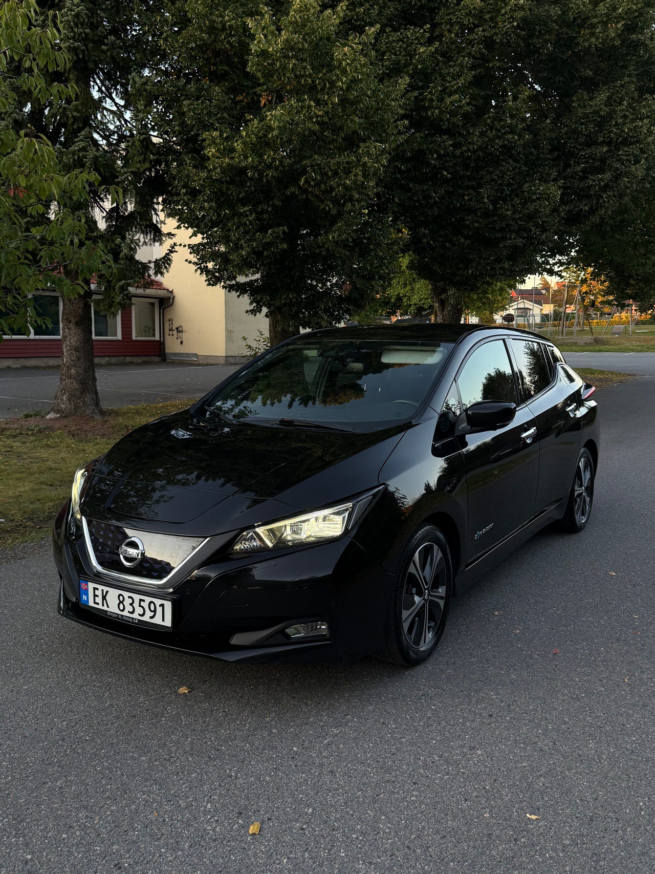 Nissan Leaf