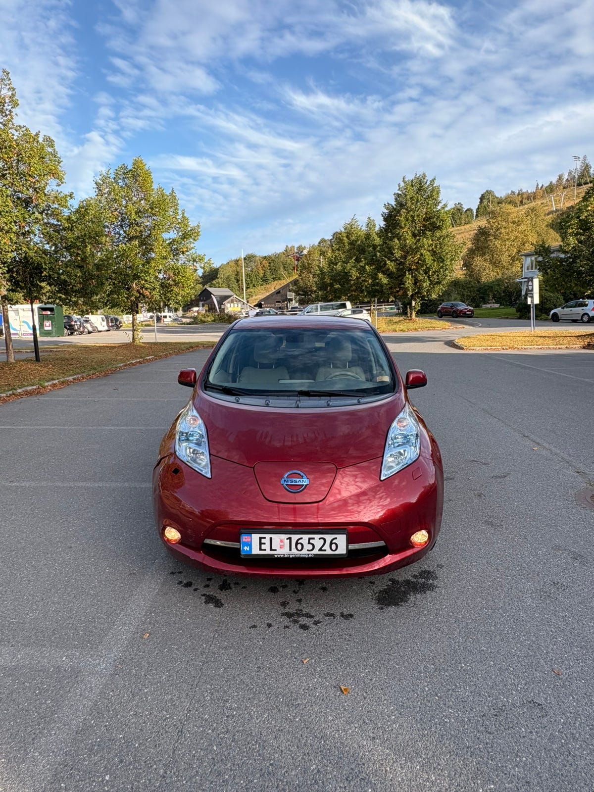 Nissan Leaf