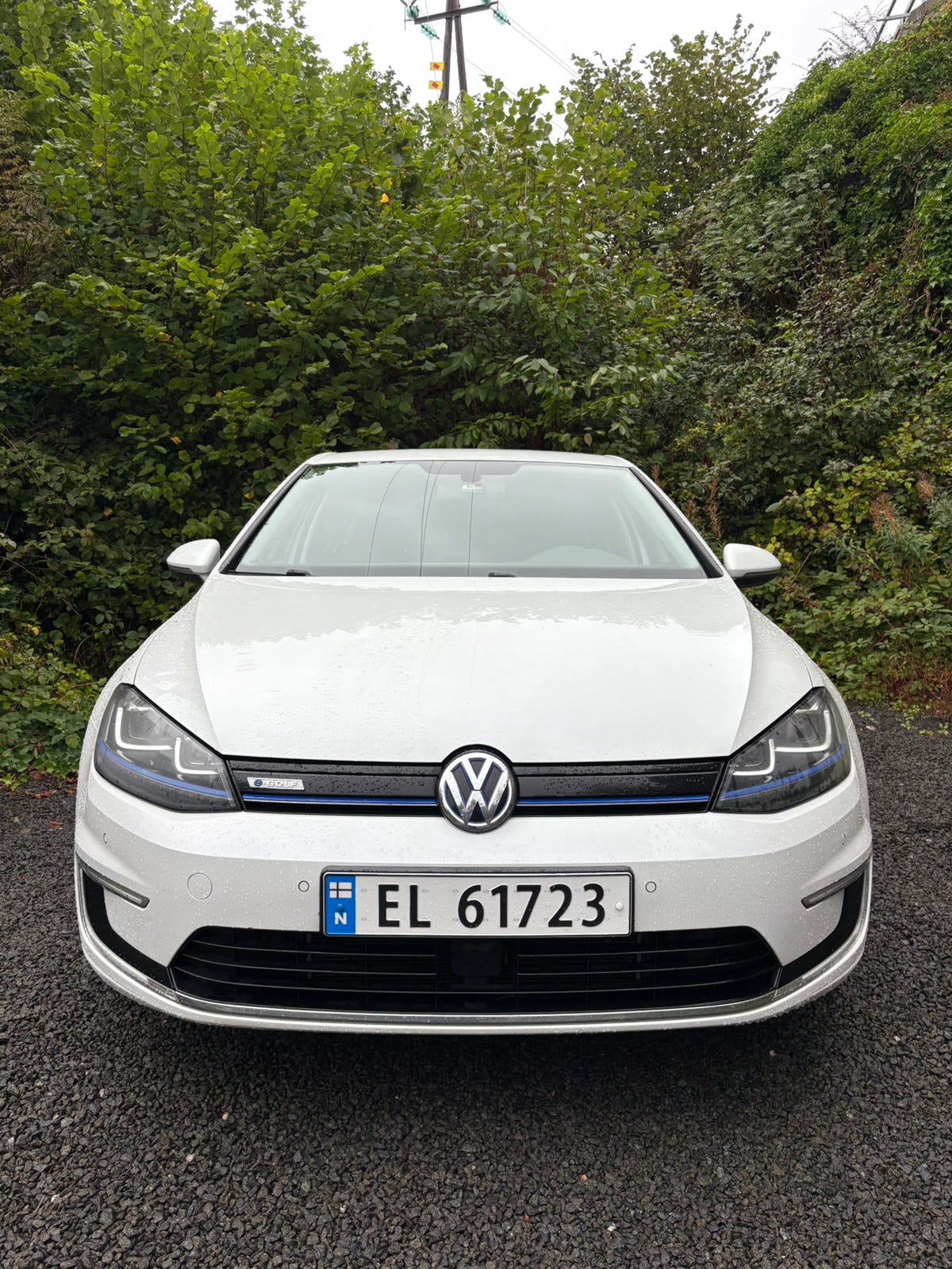 Volkswagen e-Golf VII