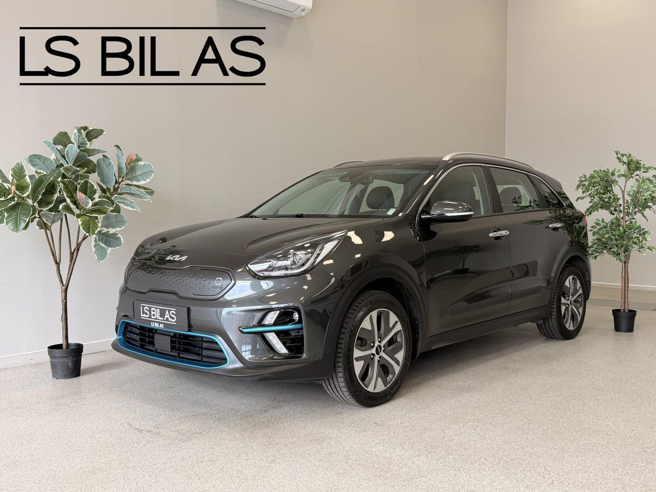 Kia e-Niro