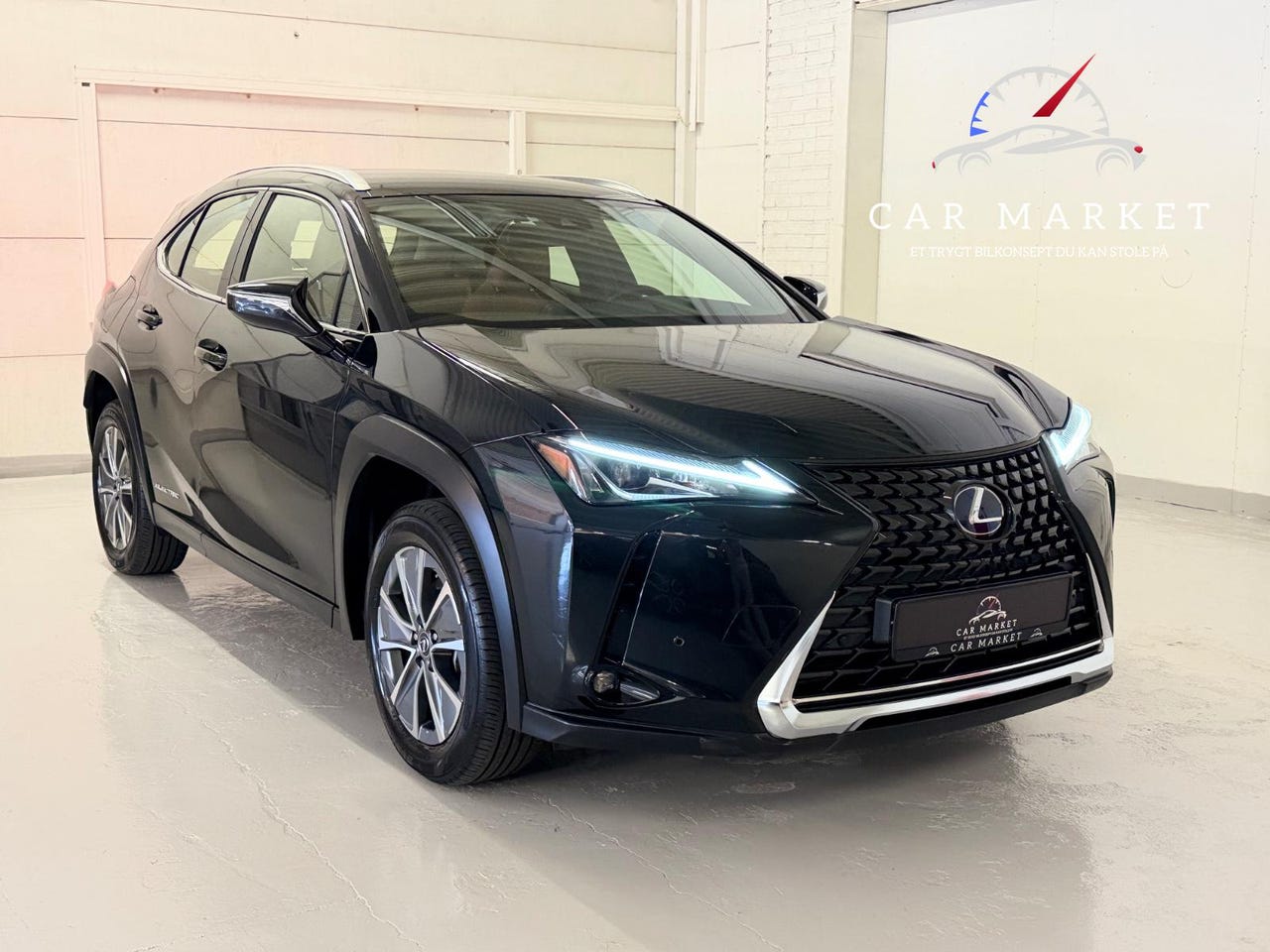 Lexus UX300e