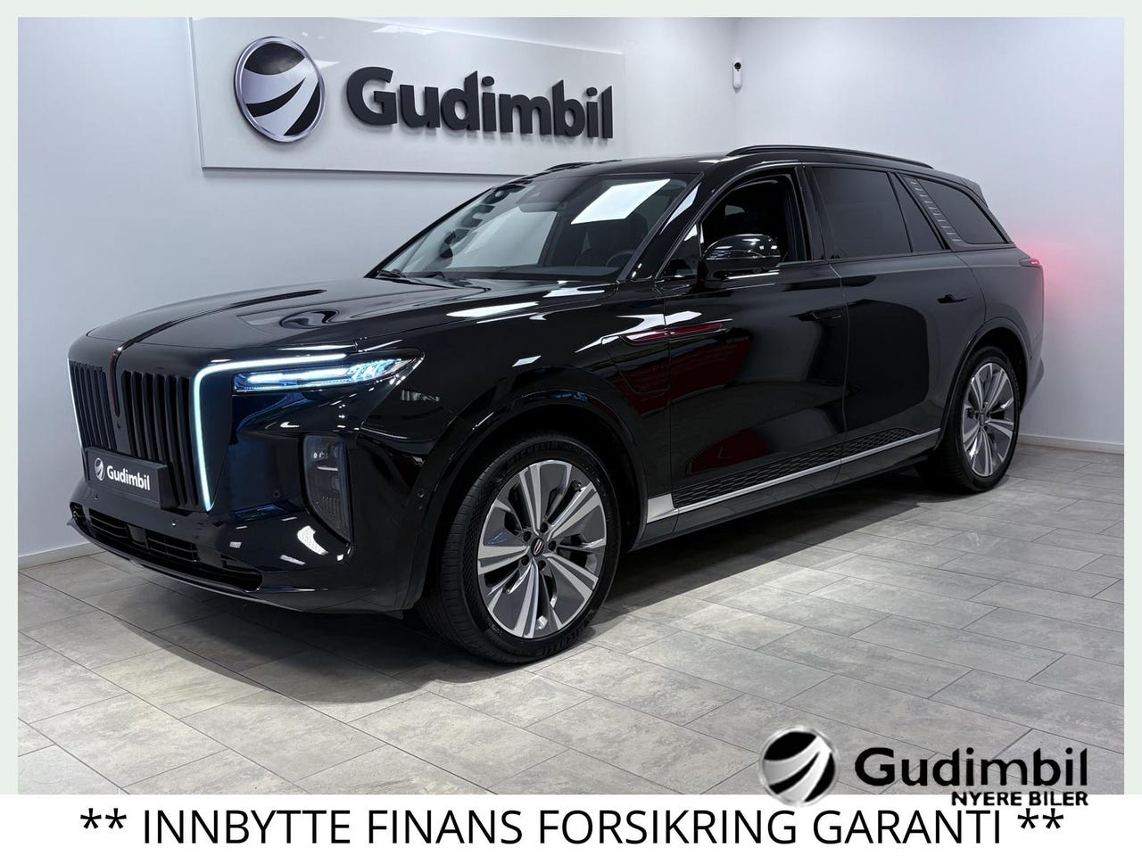 Hongqi E-HS9