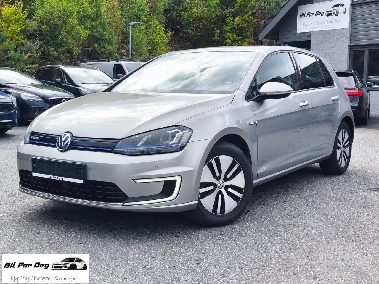 Volkswagen e-Golf VII