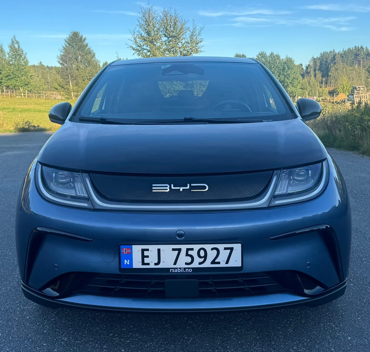 BYD Dolphin