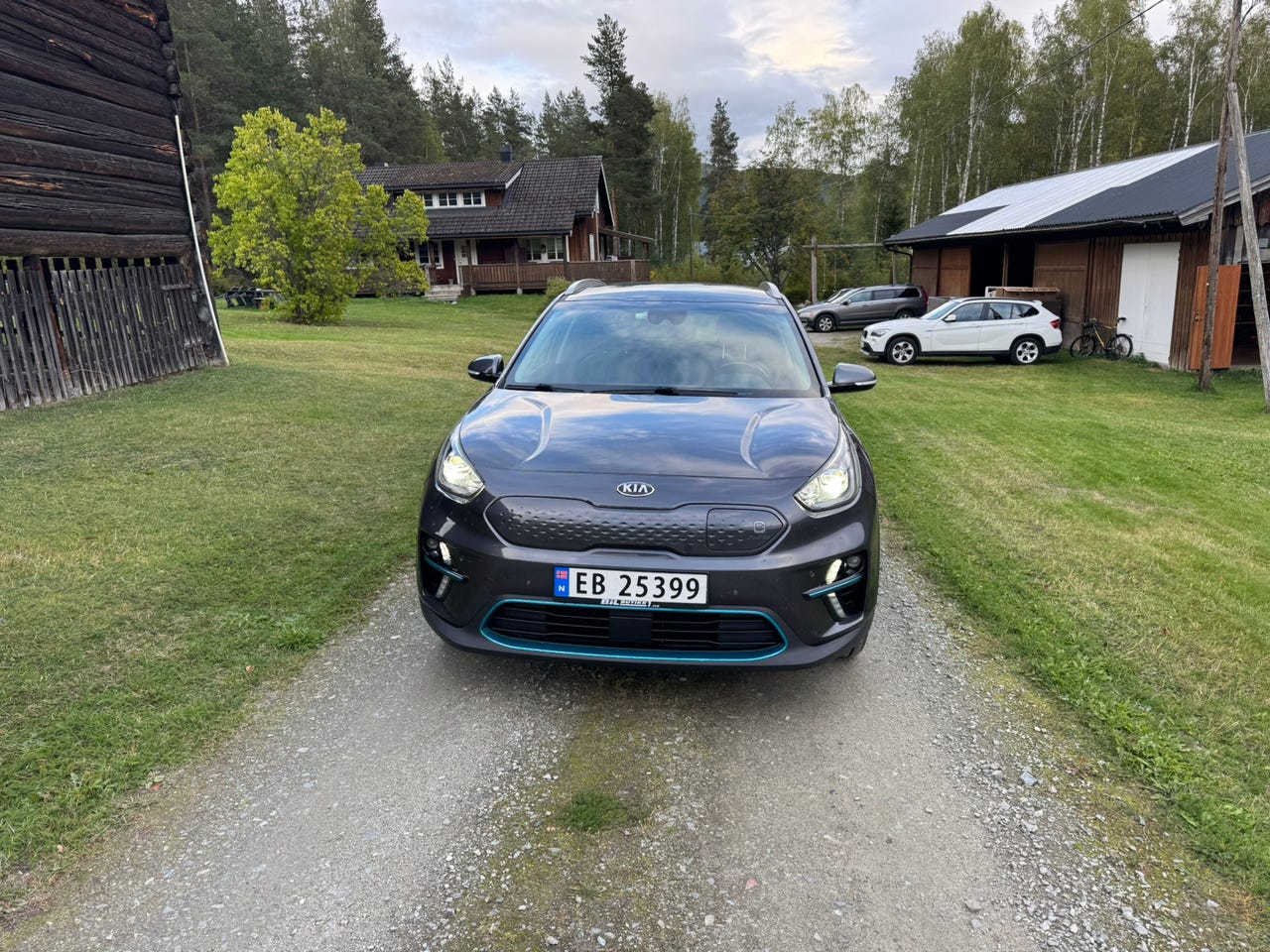 Kia e-Niro