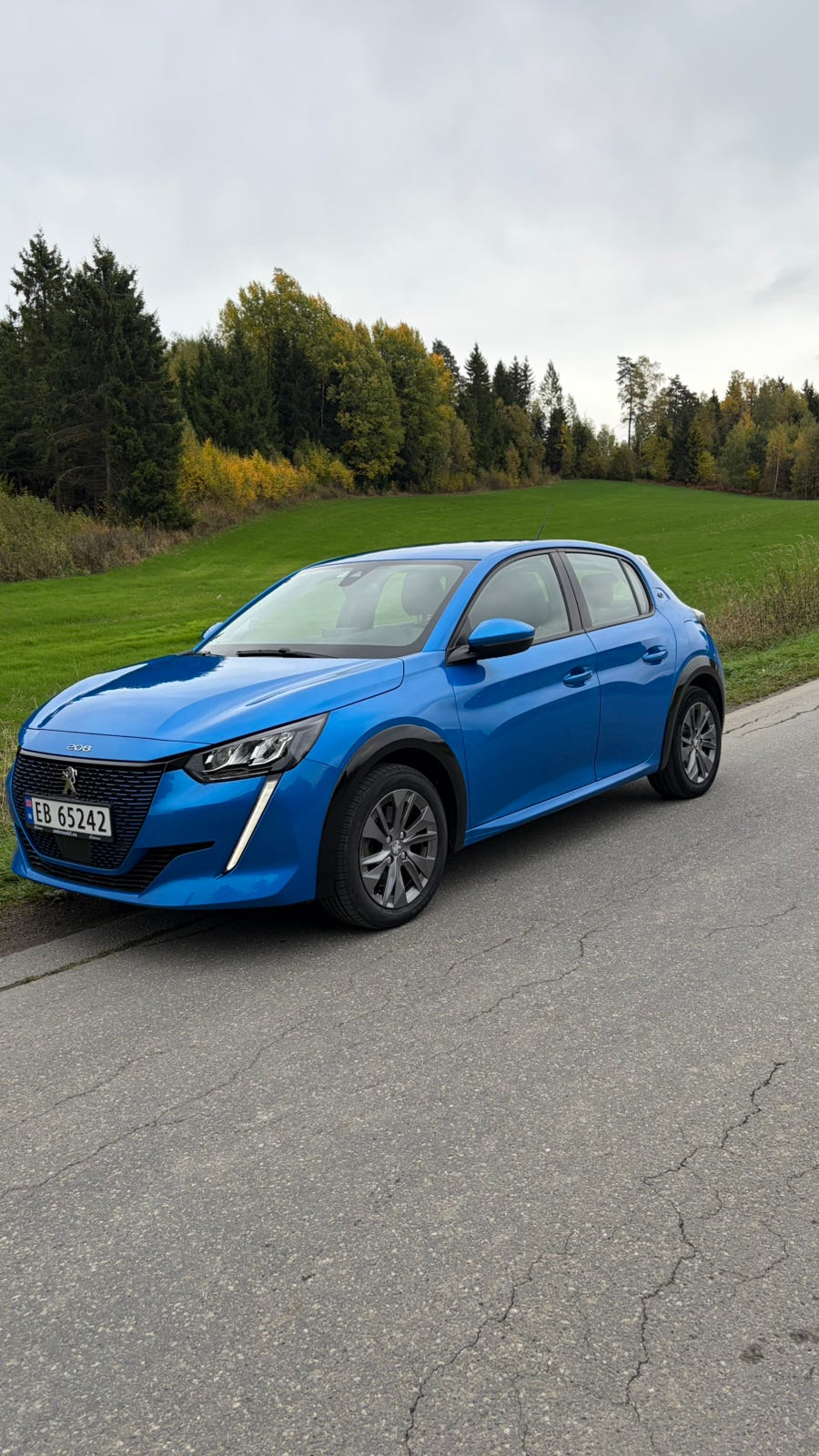 Peugeot e-208