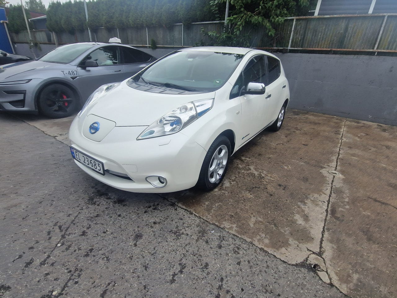 Nissan Leaf