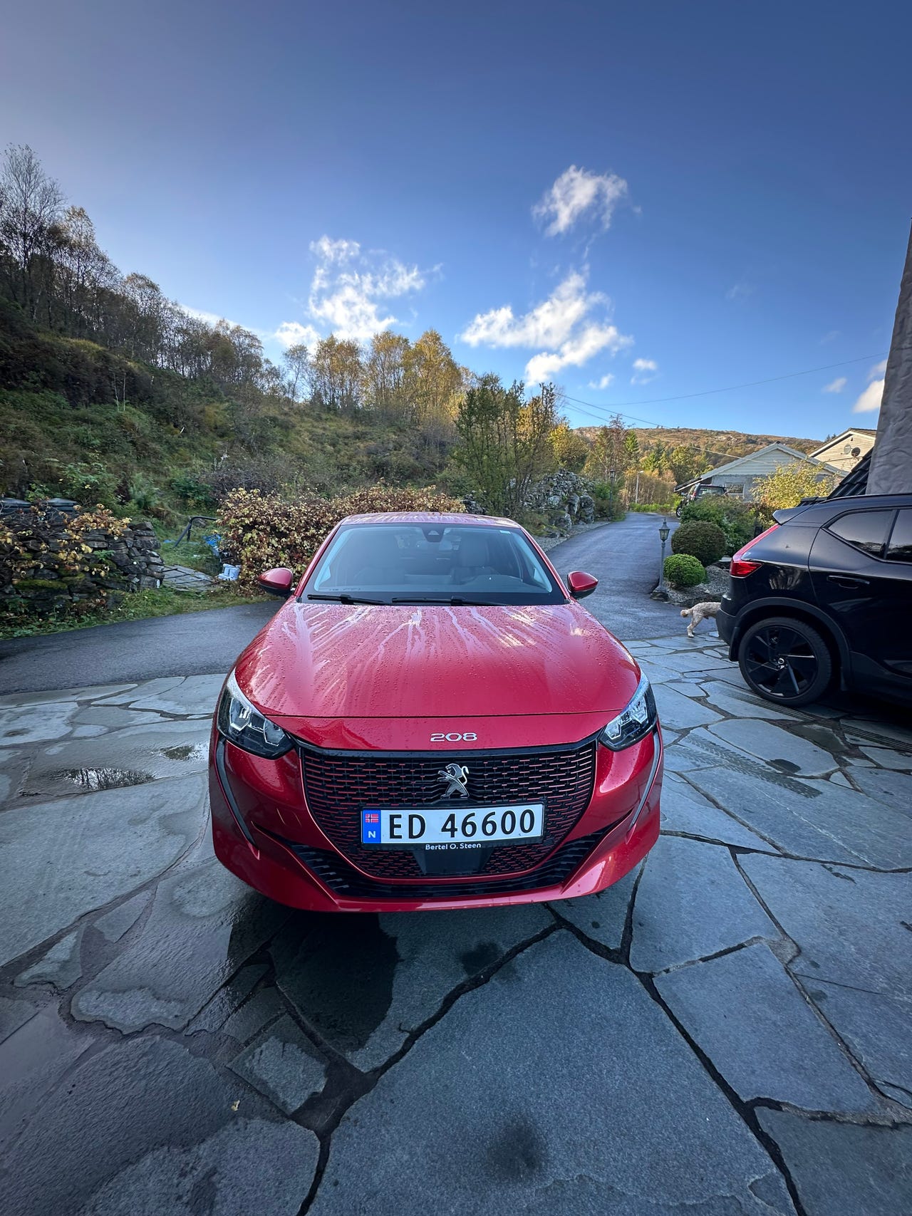 Peugeot e-208