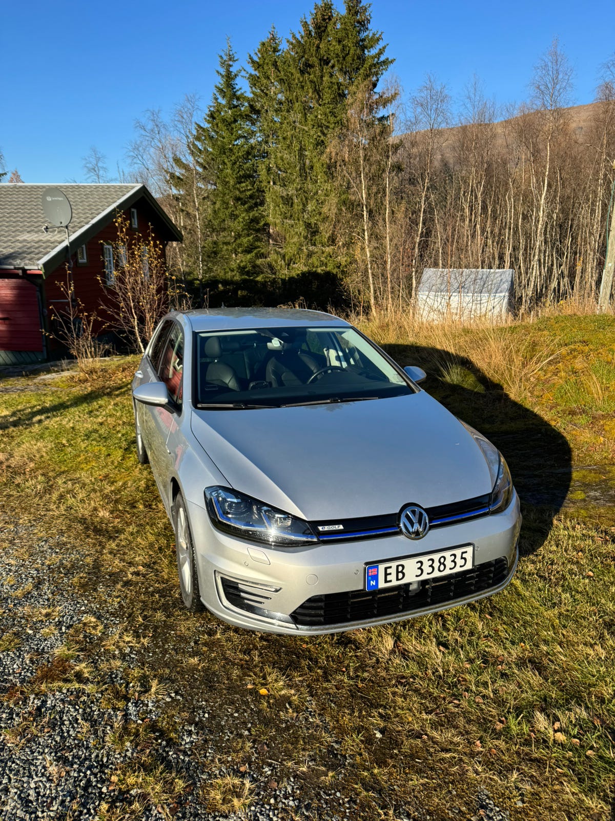Volkswagen e-Golf VII