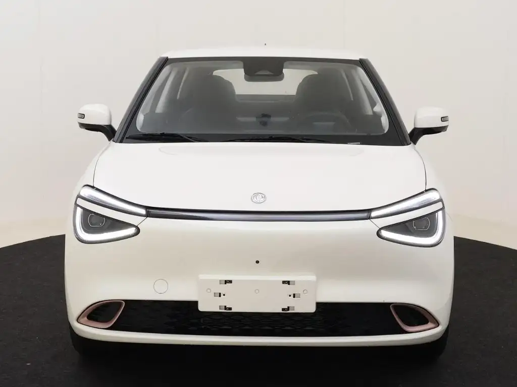 Dongfeng Box 42.30 Kwh – Premium Edition – Automatik