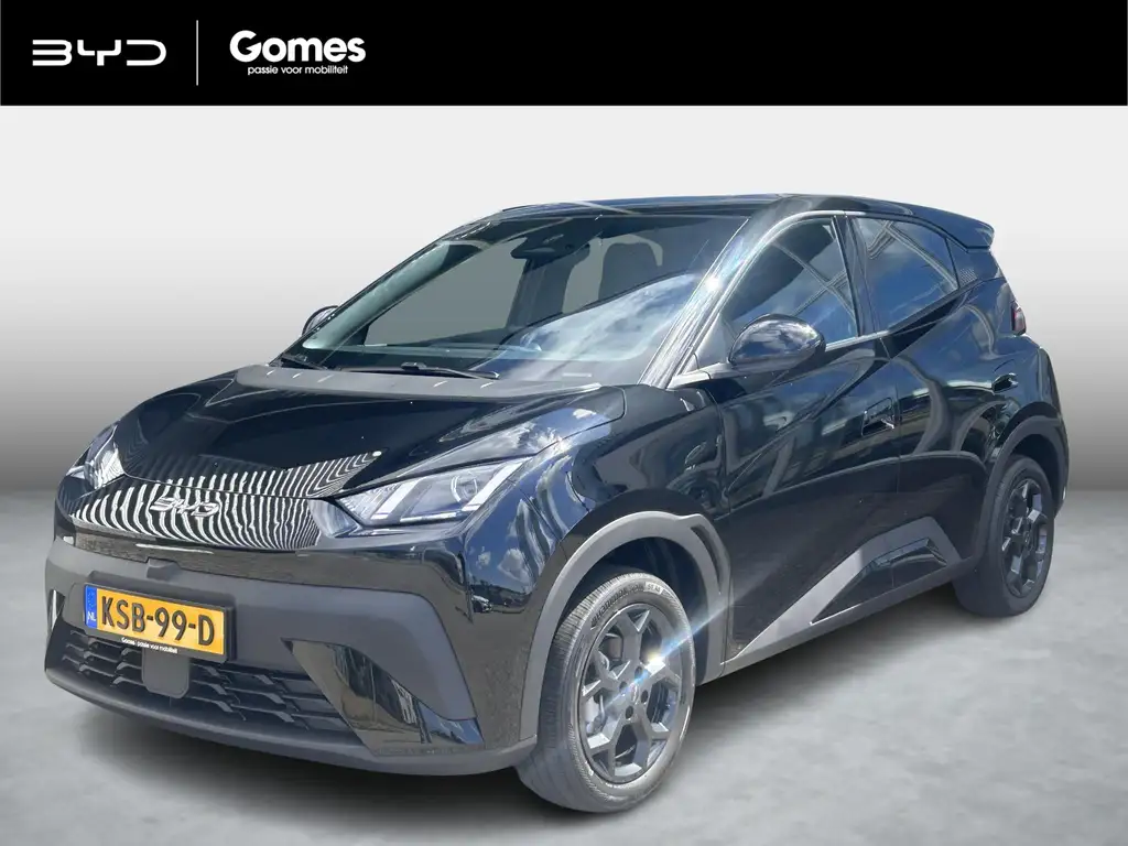 BYD Dolphin Surf Boost 43 kWh | Apple Carplay & Android Auto | Adap