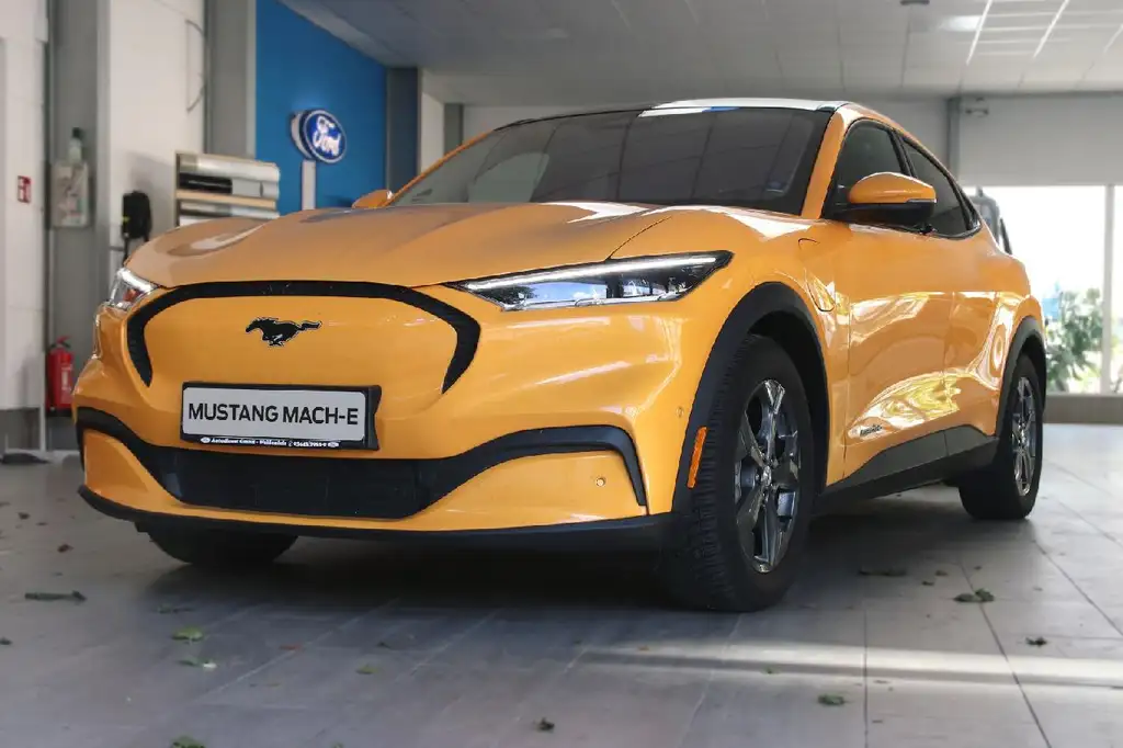Ford Mustang Mach-E 198 kW | Basis | 75 kWh | Panoramadach