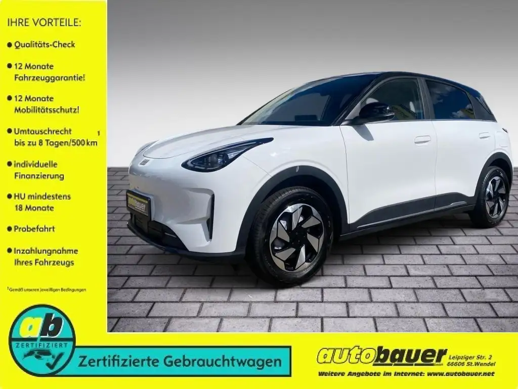 Geely Sonstige E2 85 kW Ultra