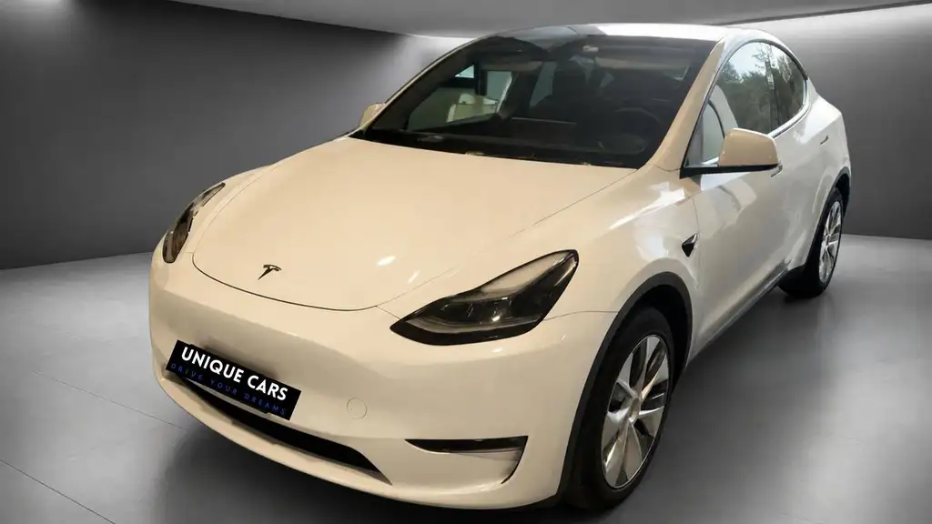 Tesla Model Y Model Y 2021 Long Range Dual Motor awd