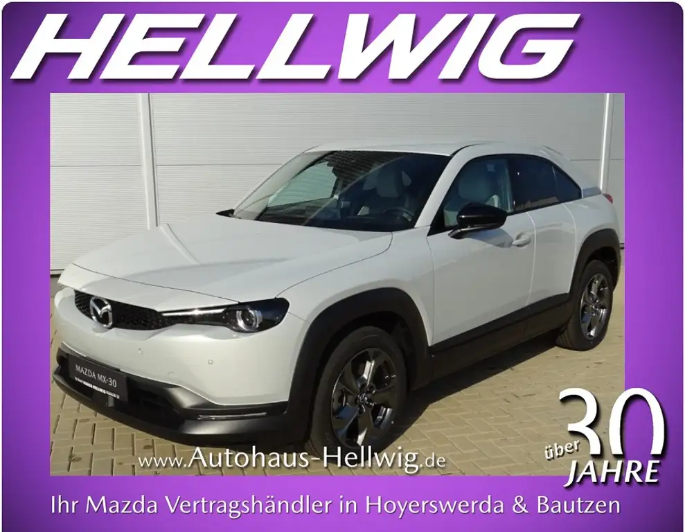 Mazda MX-30 e-SKYACTIV Advantage Teilleder Navi Matrix-LED