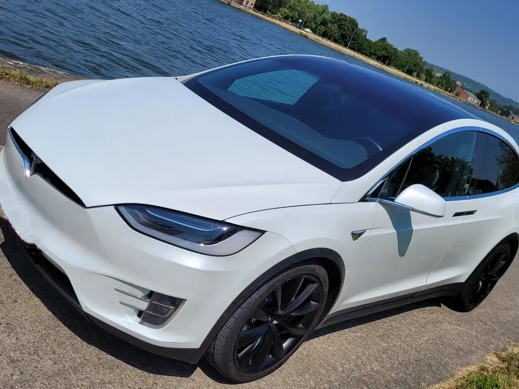 Tesla Model X Model X 100 kWh Dual Motor